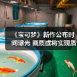《宝可梦》新作公布时间曝光 画质或将实现质的飞跃（图3）