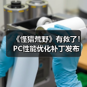 《怪猎荒野》有救了！PC性能优化补丁发布（图4）