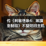 传《刺客信条4：黑旗 重制版》不登陆旧主机