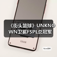 《街头篮球》UNKNOWN卫冕FSPL总冠军 中国之队剑指IMA国际大师赛（图3）