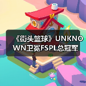 《街头篮球》UNKNOWN卫冕FSPL总冠军 中国之队剑指IMA国际大师赛（图4）
