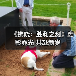 《拂晓：胜利之刻》鹰影霓光 共赴新岁（图3）