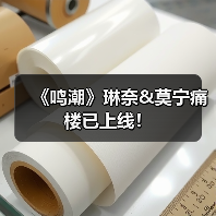 《鸣潮》琳奈&莫宁痛楼已上线！（图3）
