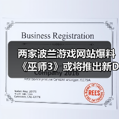 两家波兰游戏网站爆料《巫师3》或将推出新DLC（图2）
