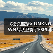 《街头篮球》UNKNOWN战队卫冕了FSPL年度总冠军（图2）