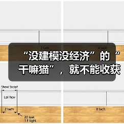 “没建模没经济”的“干嘛猫”，就不能收获属于自己的幸福吗？（图2）