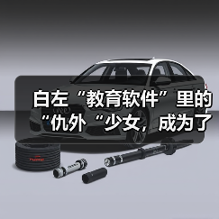 白左“教育软件”里的“仇外“少女，成为了英国男人的幻想对象（图2）