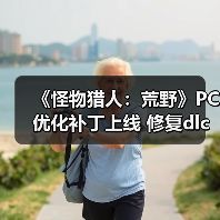 《怪物猎人：荒野》PC优化补丁上线 修复dlc检测BUG（图4）
