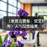 《索尼克赛车：交叉世界》人气投票结果：它险胜夺冠（图2）