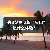 去B站总部捉“只因”是什么体验？