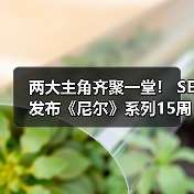 两大主角齐聚一堂！ SE发布《尼尔》系列15周年纪念典藏套装（图2）