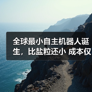 全球最小自主机器人诞生,比盐粒还小 成本仅为1美分(图2) 全球最小自主机器人诞生,比盐粒还小 成本仅为1美分(图2)
