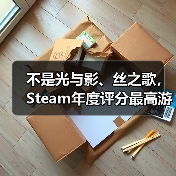 不是光与影、丝之歌，Steam年度评分最高游戏竟是它!（图3）