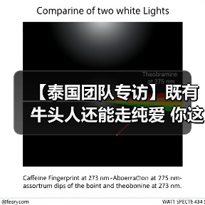 【泰国团队专访】既有牛头人还能走纯爱 你这个战棋游戏正不正经?(图1) 【泰国团队专访】既有牛头人还能走纯爱 你这个战棋游戏正不正经?(图1)
