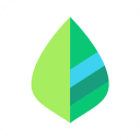 薄荷记账官方app v11.7.5安卓版
