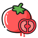 番茄轻断食App v3.4.14安卓版
